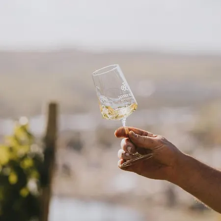 לינה וארוחת בוקר Weingut Und Gaestehaus Josef Reis 3*