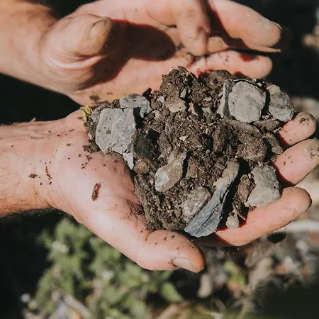 לינה וארוחת בוקר Weingut Und Gaestehaus Josef Reis