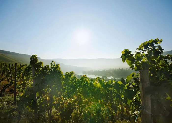 Weingut Und Gaestehaus Josef Reis 3* Mehring (Rhineland-Palatinate)