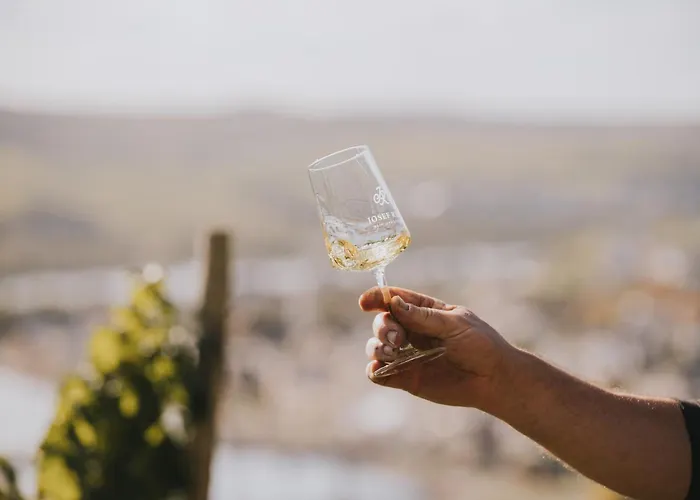 Nocleg ze śniadaniem Weingut Und Gaestehaus Josef Reis 3*