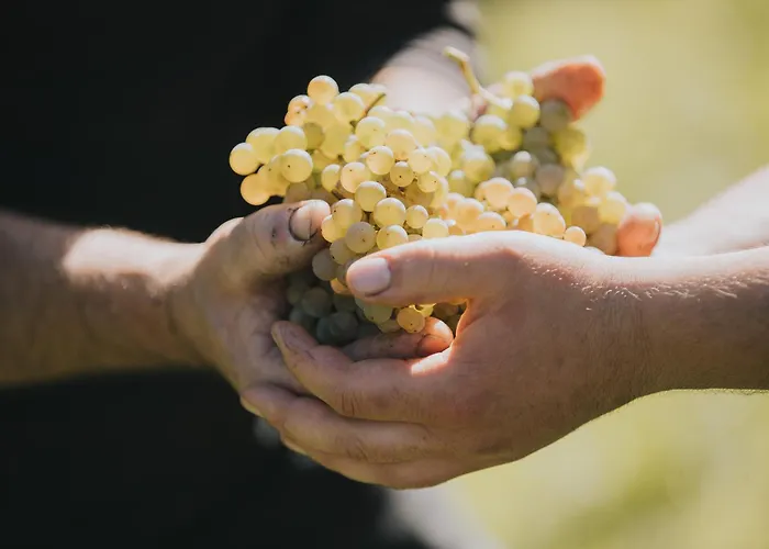 Nocleg ze śniadaniem Weingut Und Gaestehaus Josef Reis