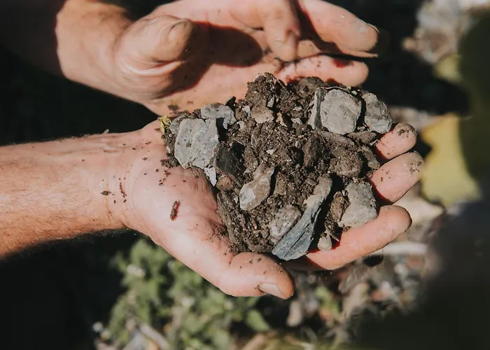 Nocleg ze śniadaniem Weingut Und Gaestehaus Josef Reis