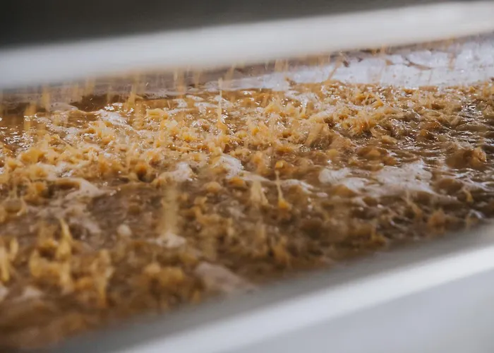 Weingut Und Gaestehaus Josef Reis