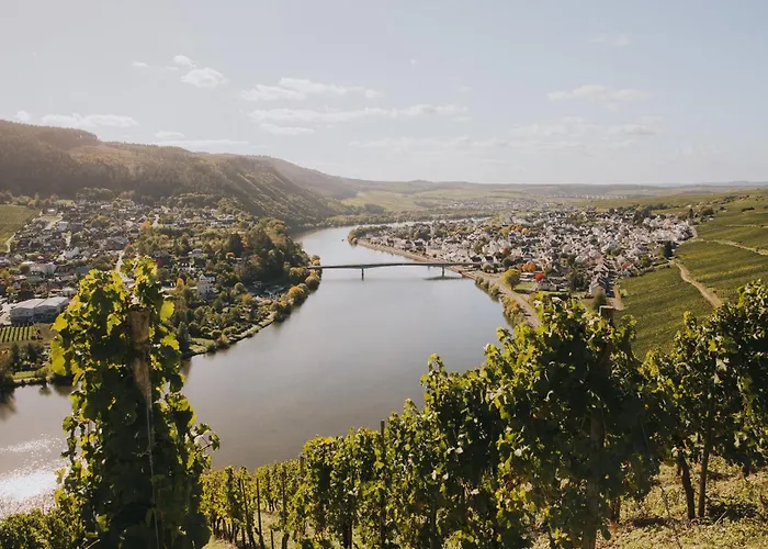 Weingut Und Gaestehaus Josef Reis Nocleg ze śniadaniem Mehring (Rhineland-Palatinate)